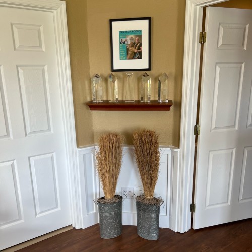 TONY MENENDEZ, DDS, MAGD TONY MENENDEZ, DDS, MAGD